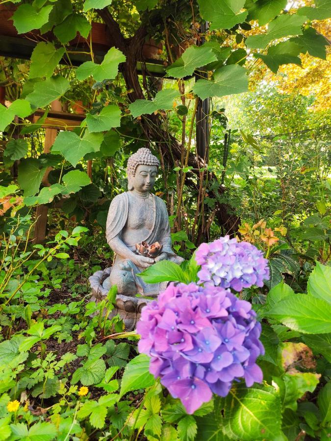 Privatunterkunft Modernes Am Park Mit Garten, Hühner&enten München